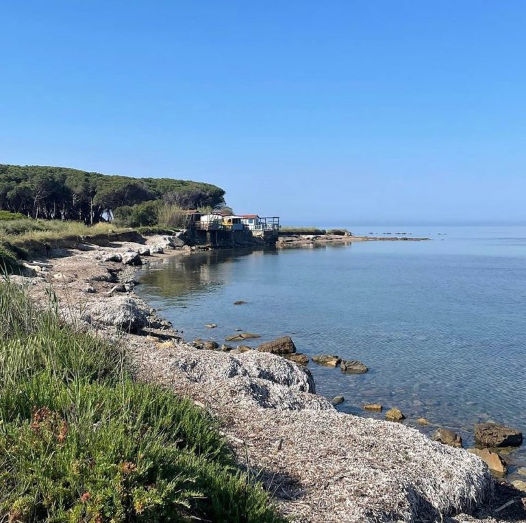 la frasca civitavecchia