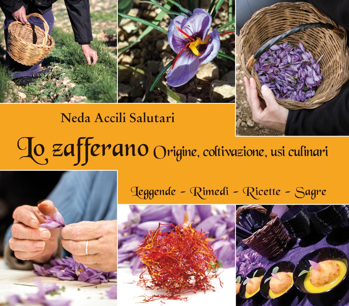 lo zafferano