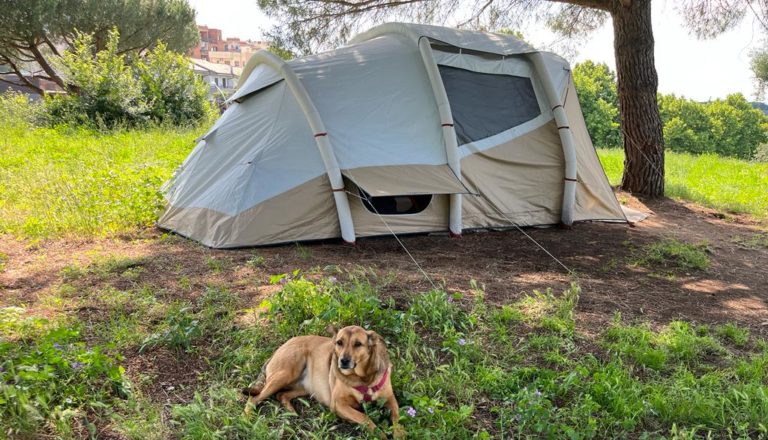 tenda