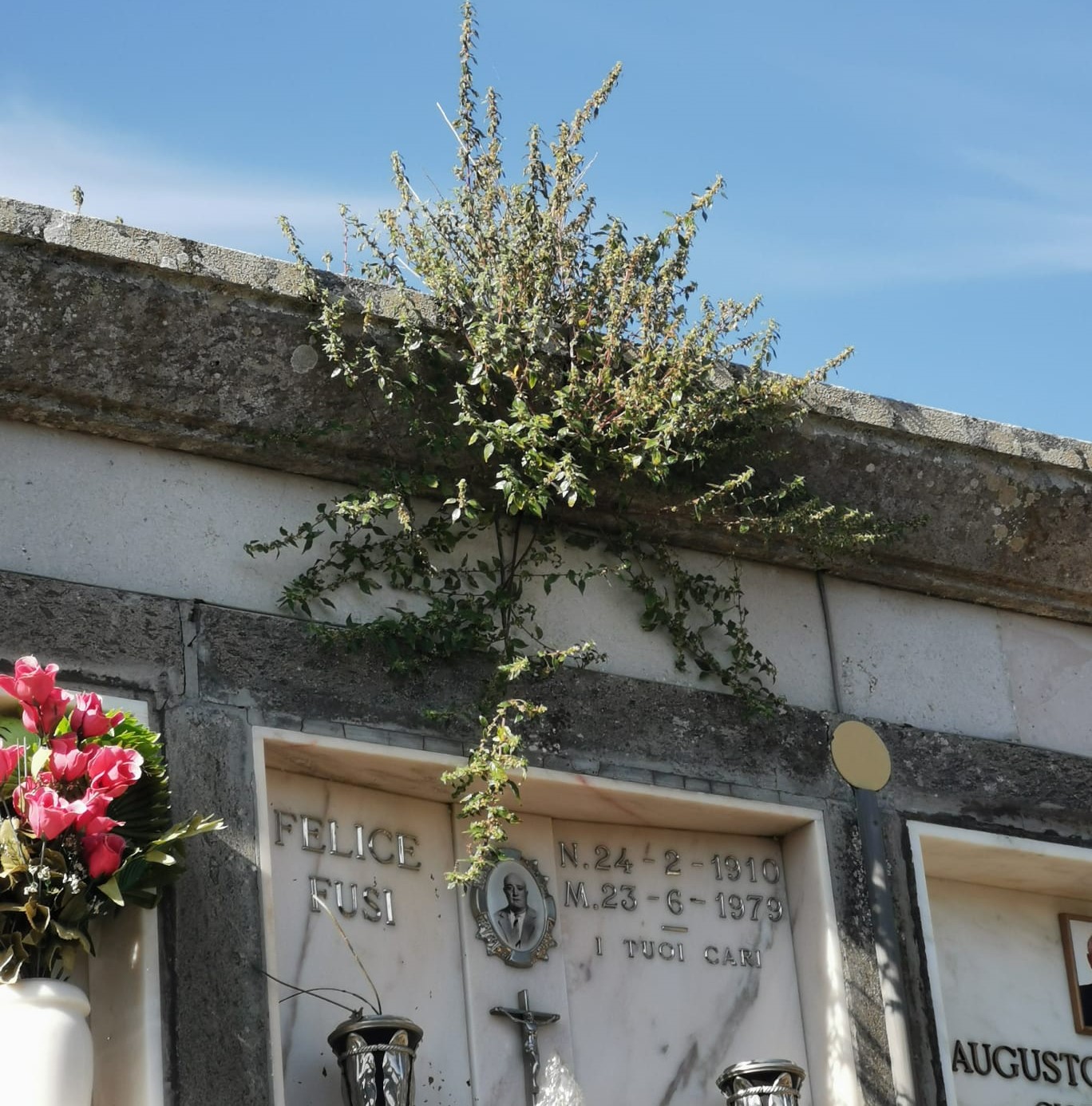 cimitero 1