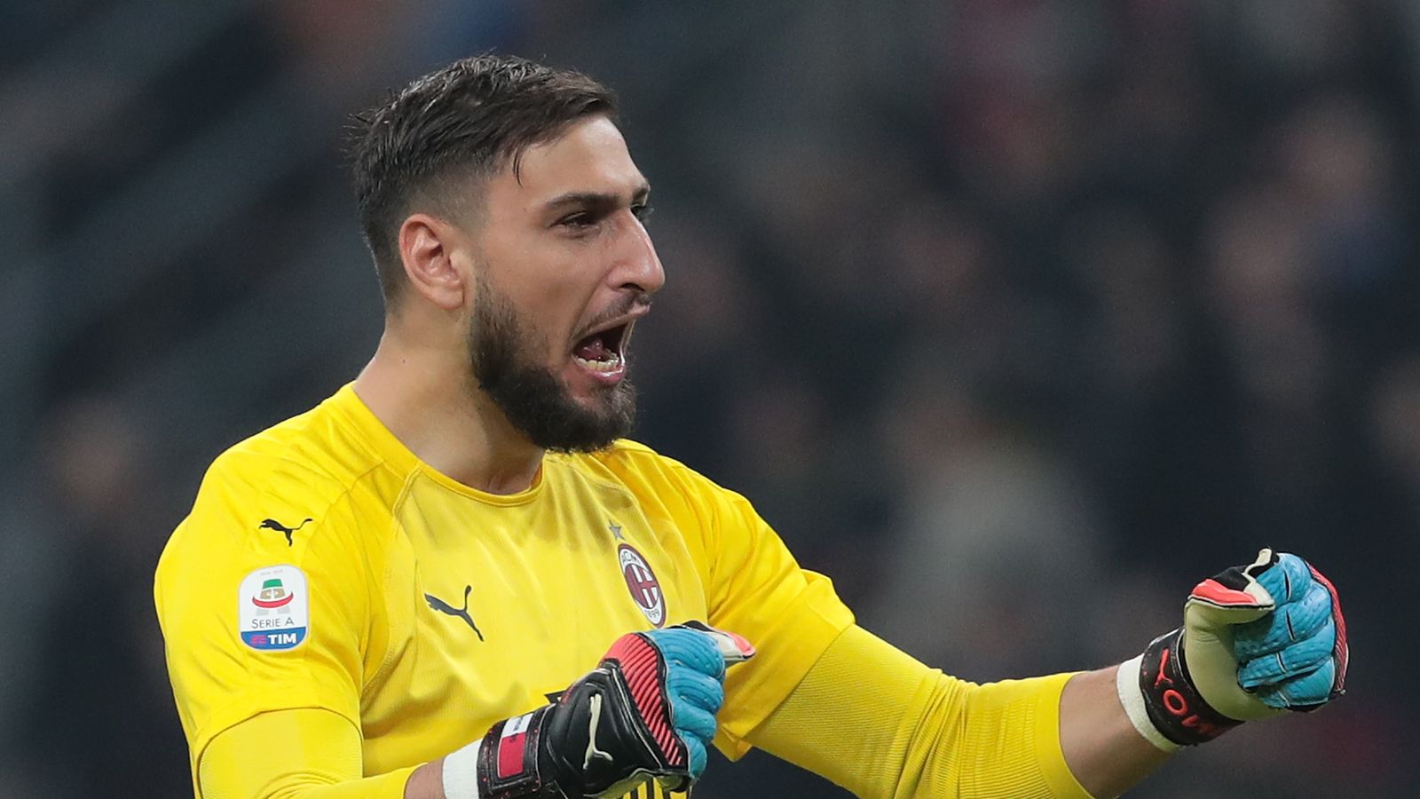 gigi donnarumma