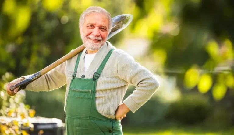 di giorgio versione opposizione