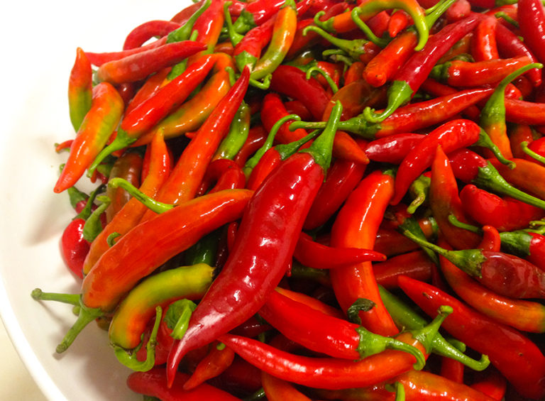 peperoncini-3