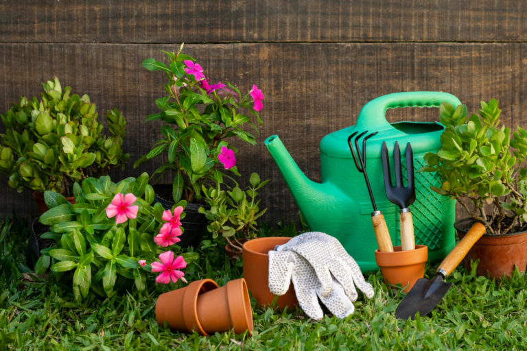 Articoli da giardinaggio: sempre più diffusi gli acquisti online