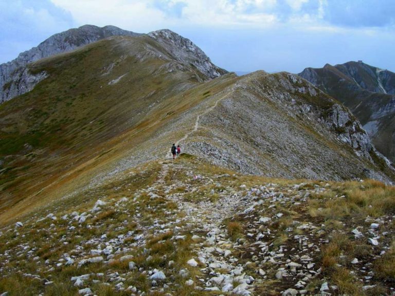 terminillo