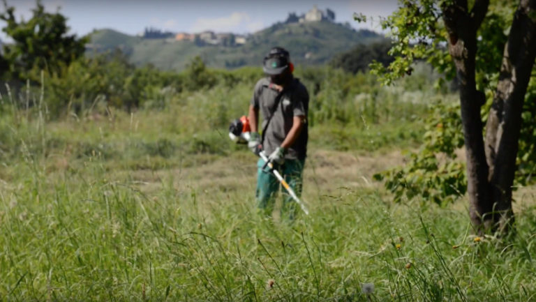 Caprotti_Luca_gardenTV2