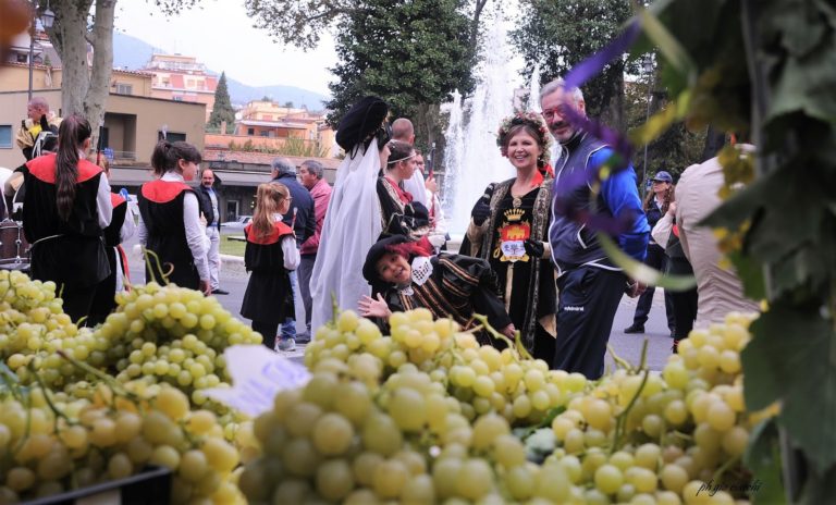 festa dell'uva velletri