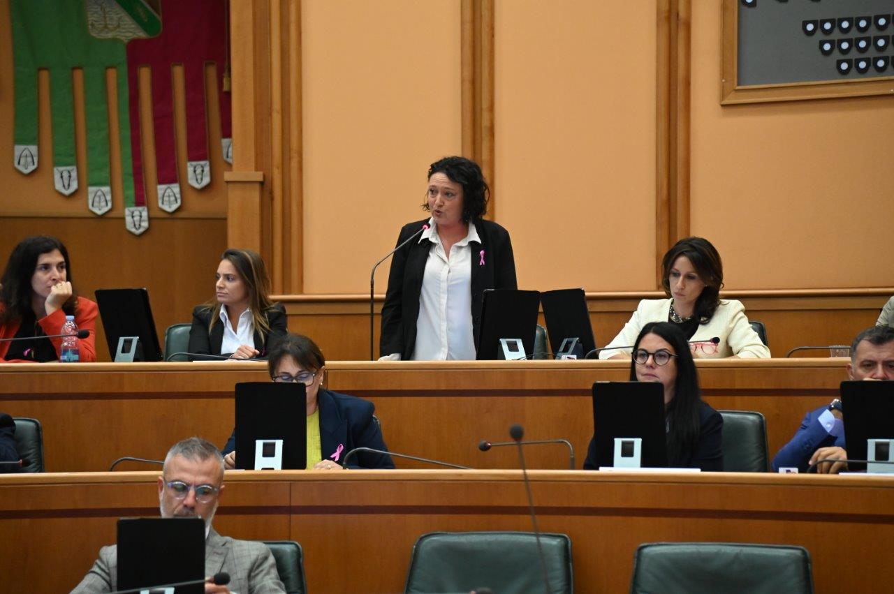 intervento Paterna in Consiglio