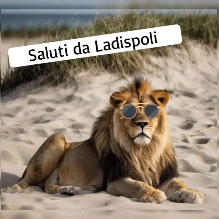 leone in spiaggia