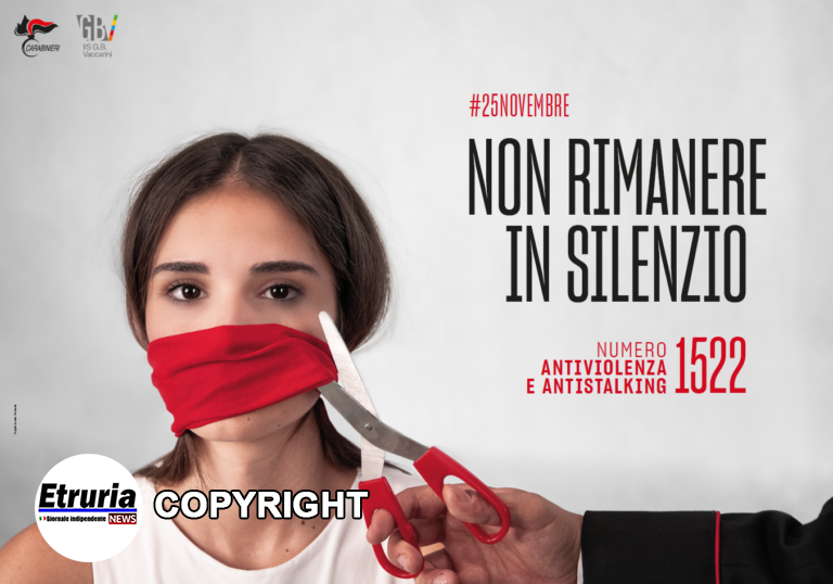 violenza sulle donne arma dei carabinieri 2