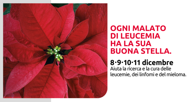 ail stella natale