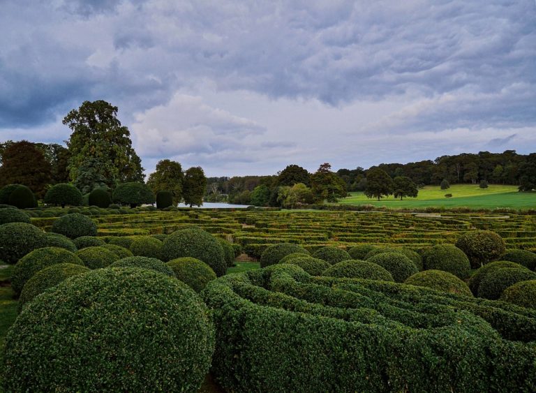 Come scegliere i migliori decespugliatore per il giardinaggio