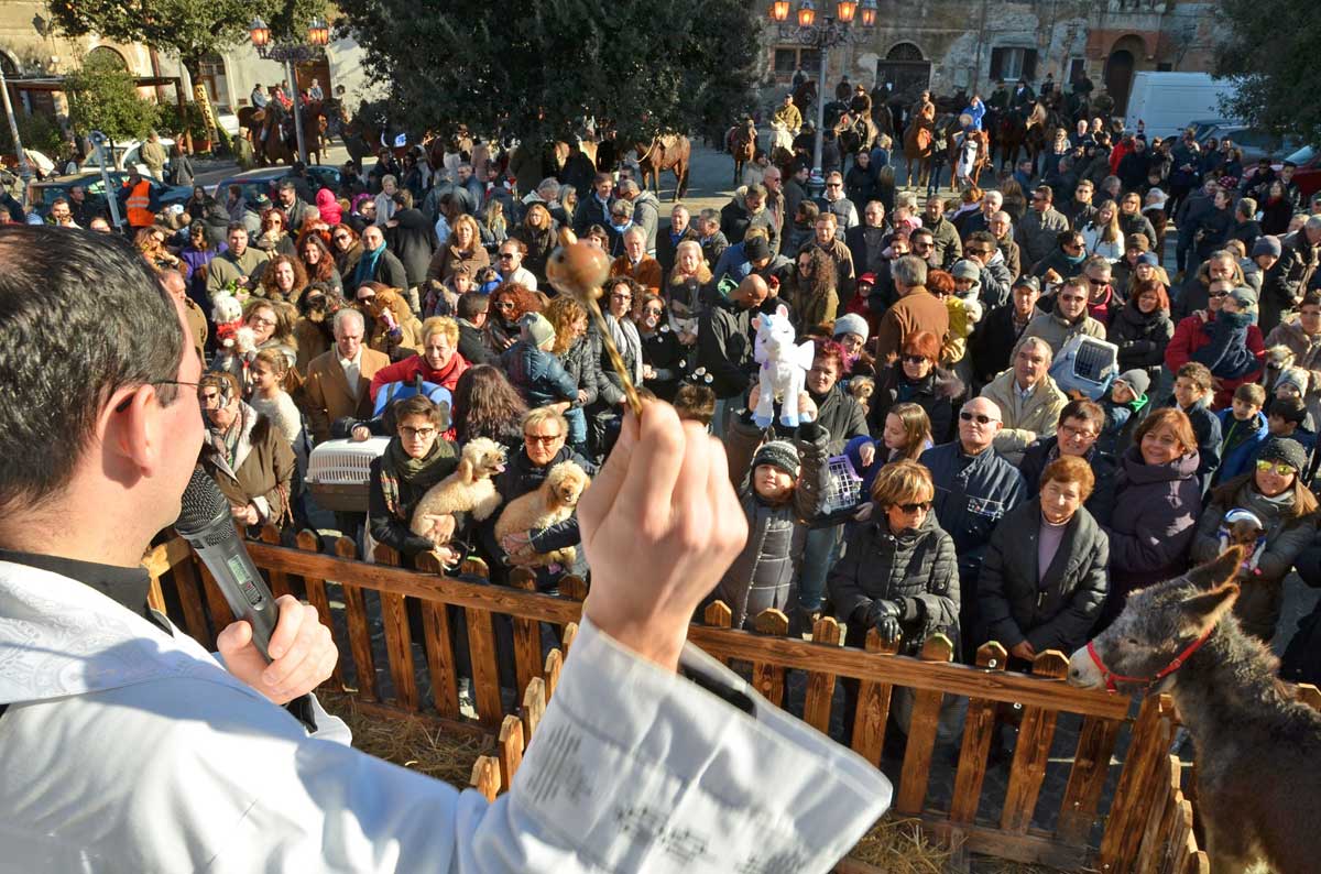 DSC_2244_ABATE