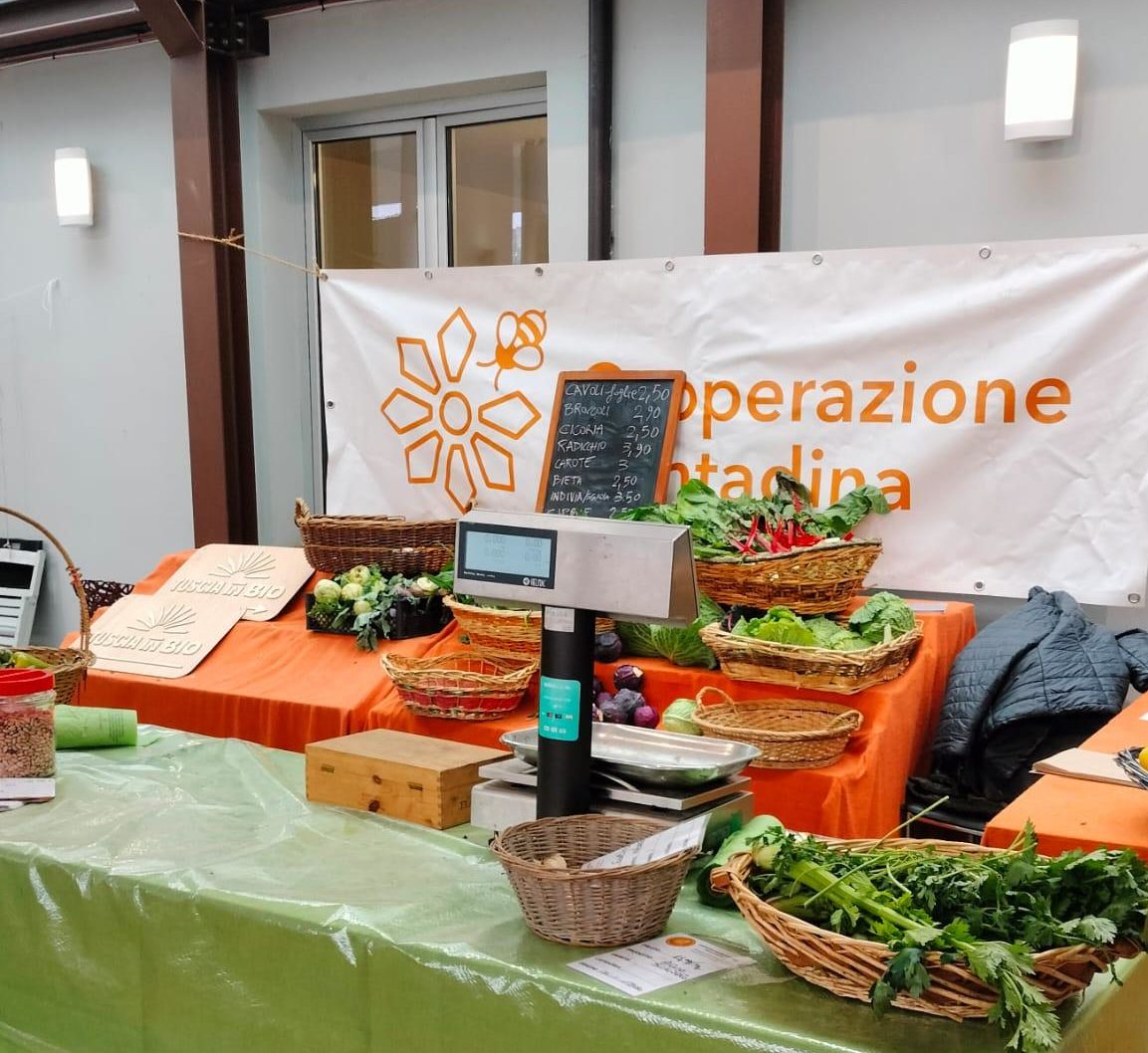 mercato 3