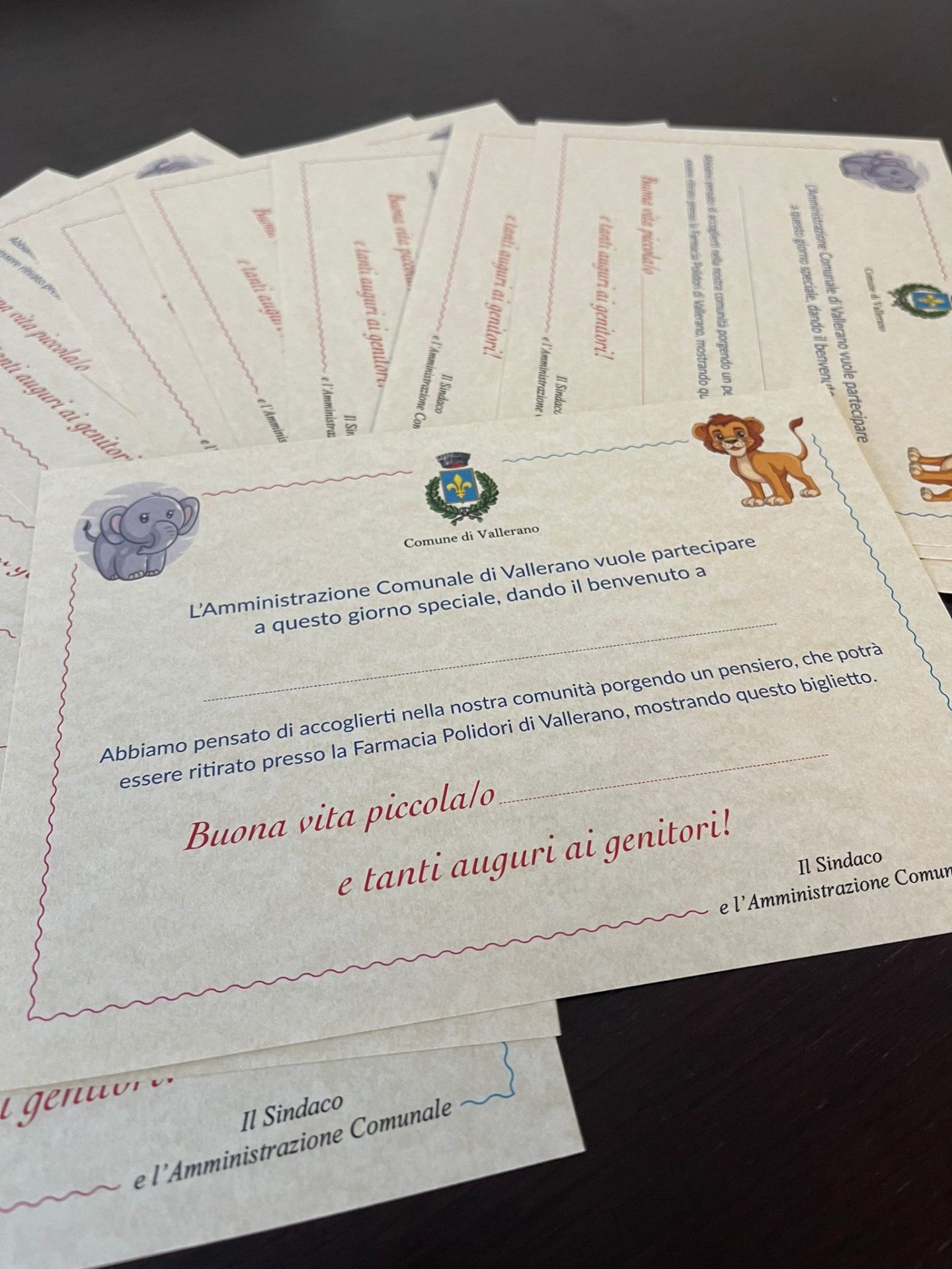 Immagine WhatsApp 2024-02-15 ore 16.29.59_6da811f0