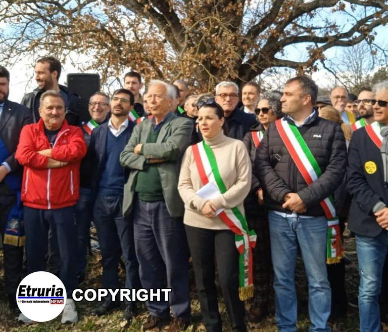 frontini 4