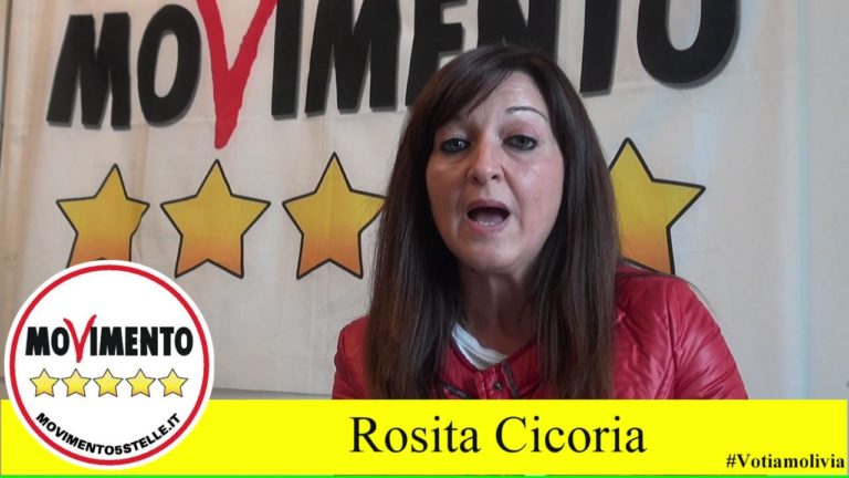 rosita cicoria