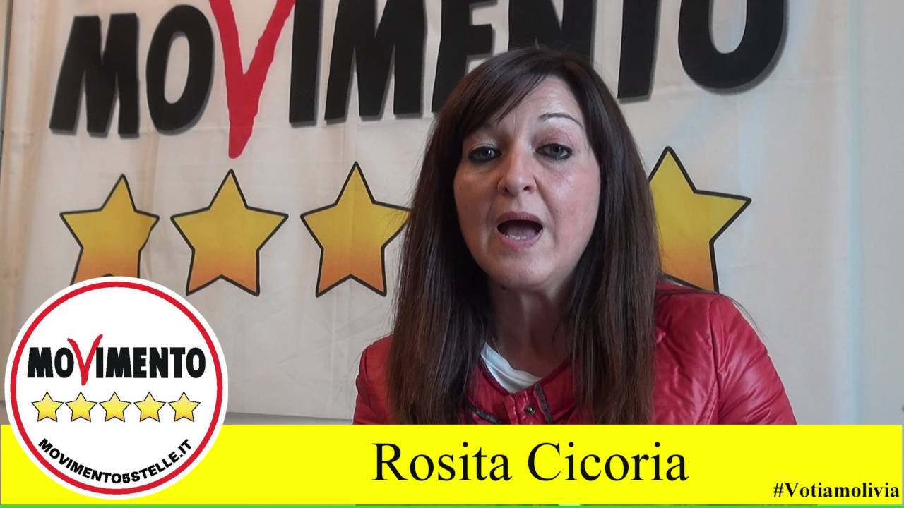 rosita cicoria