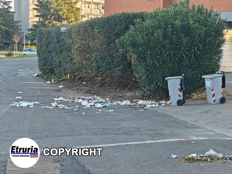viterbo rifiuti degrado