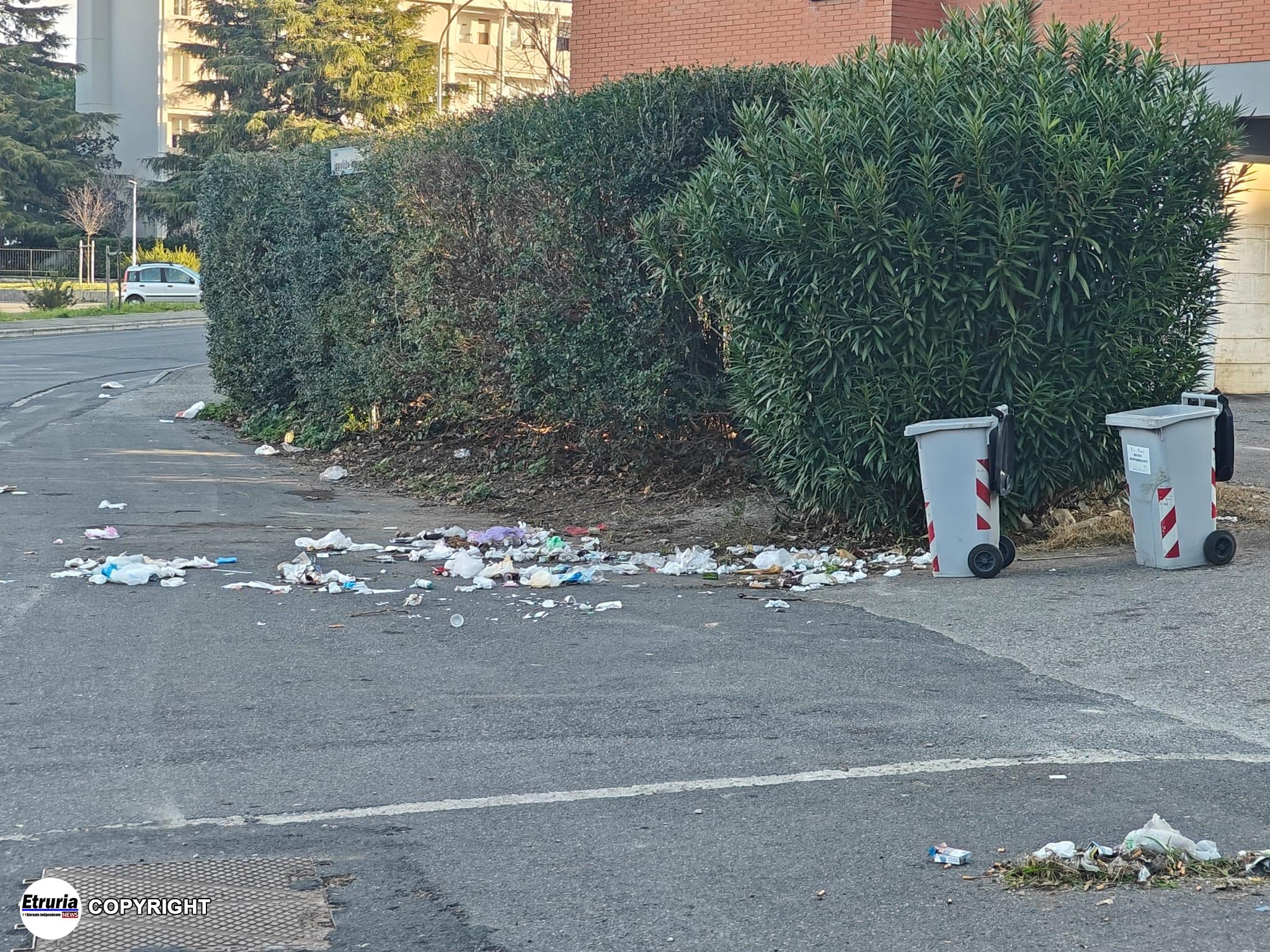 viterbo rifiuti degrado