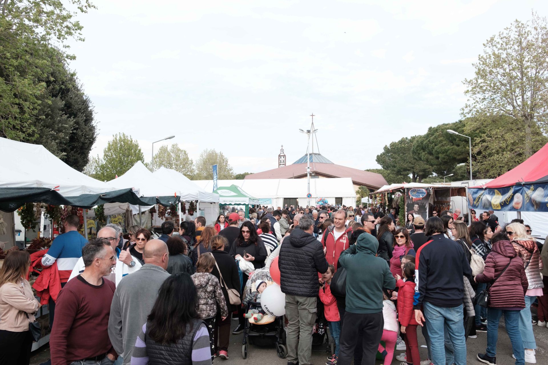 DSCF6258