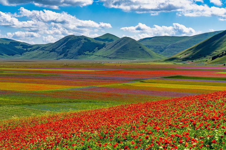 Fioritura-di-Castelluccio-2022