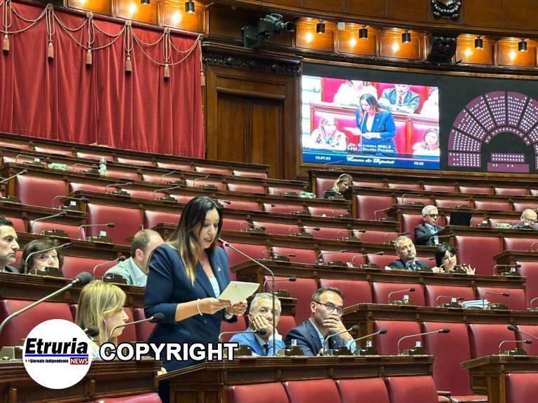 f68cfe7e-5b8f-49df-a7c1-5f685fe0d031 (1)