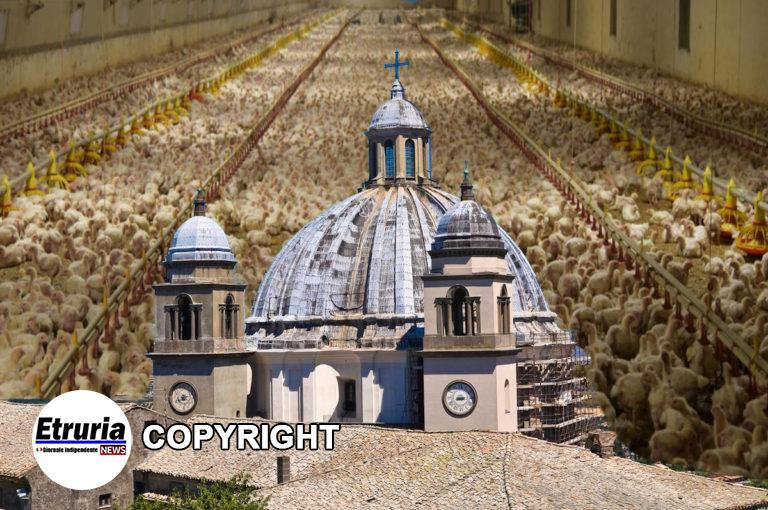 montefiascone gallinaro