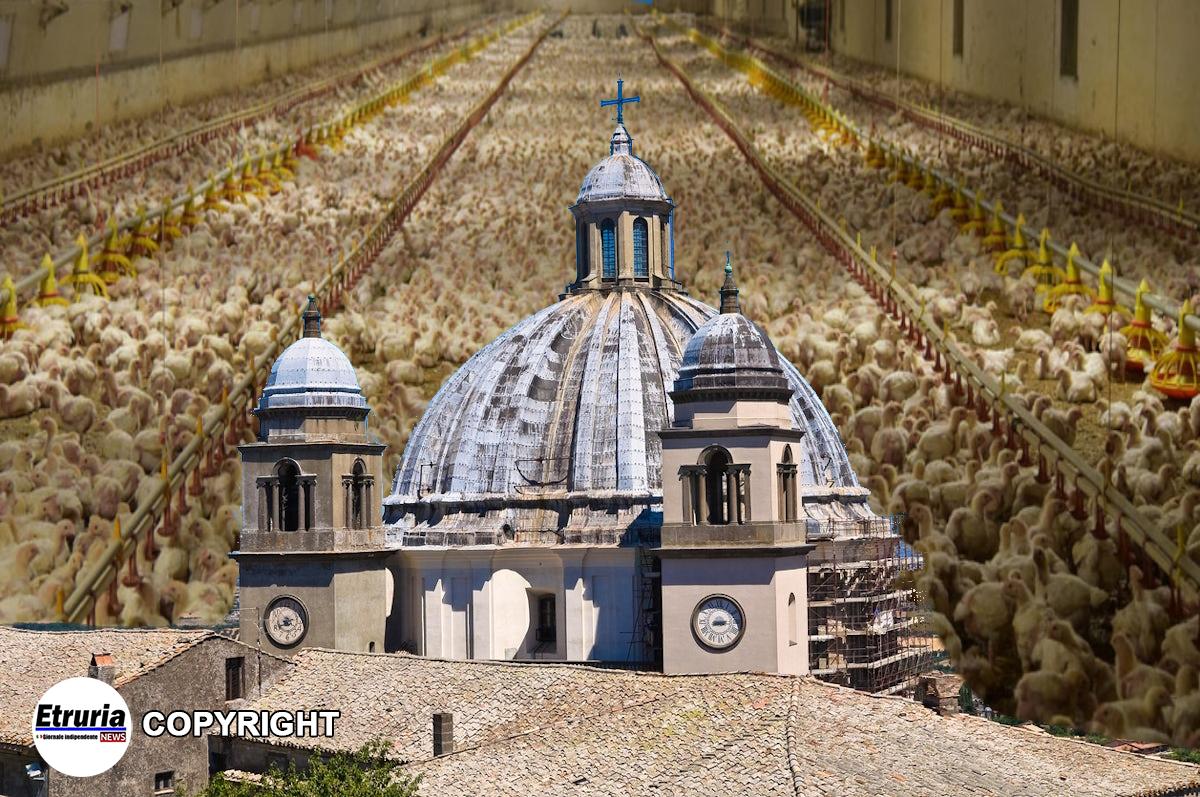 montefiascone gallinaro