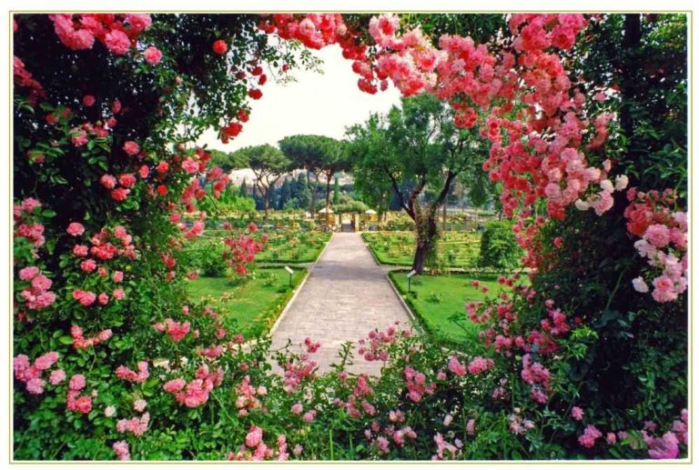 Roseto-comunale-natale-di-Roma-ingresso-gratuito