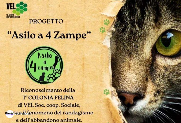 cooperativa sociale vel