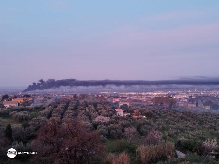 incendio discarica ardea