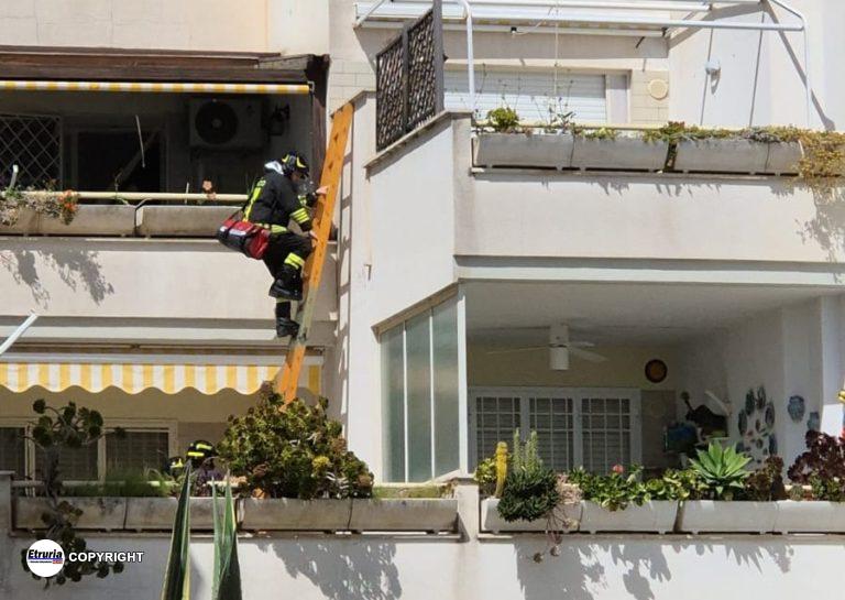santa marinella vigili del fuoco