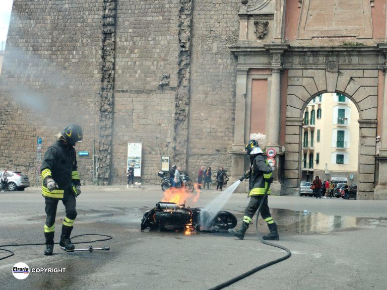 vigili