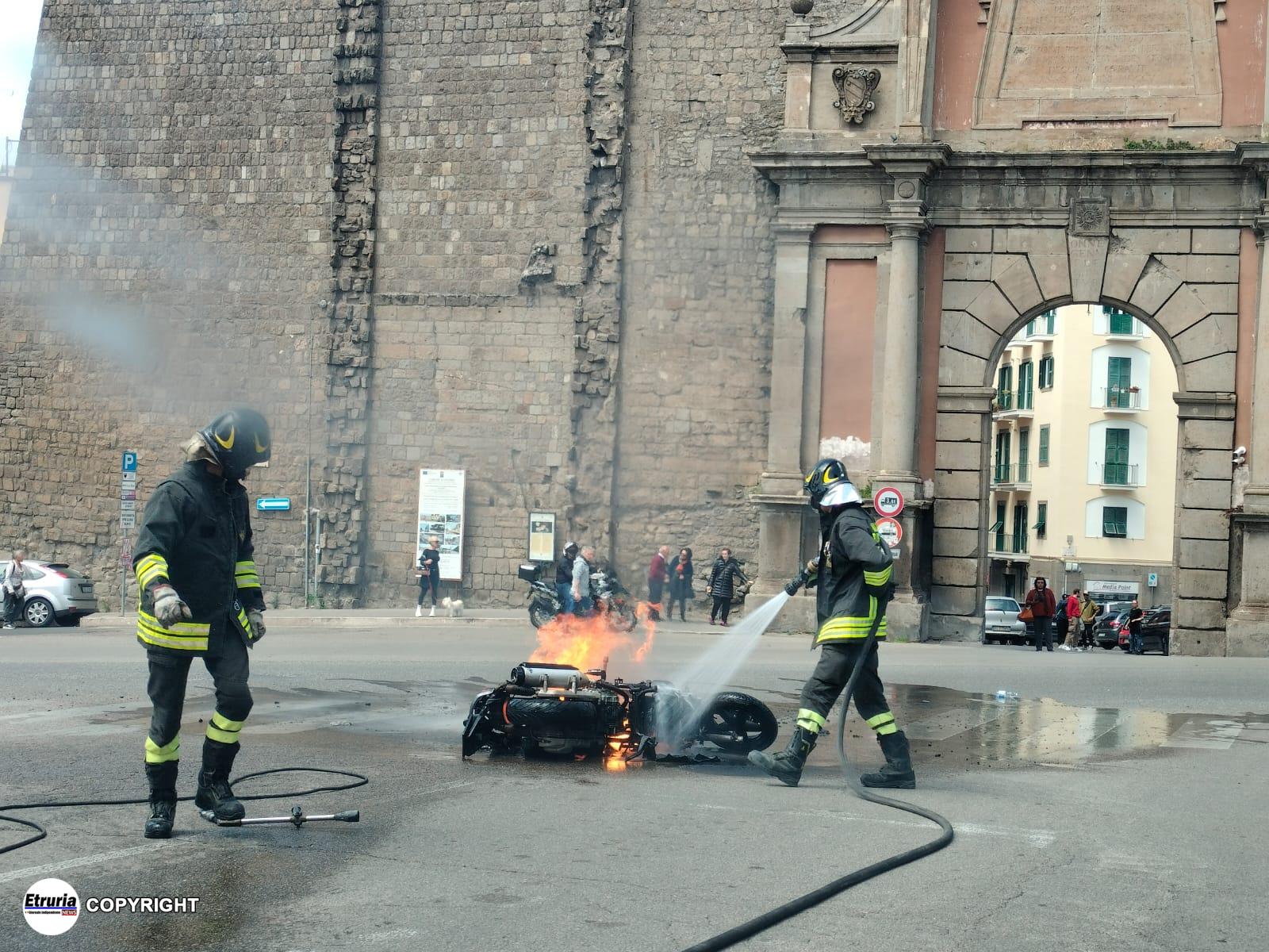 vigili