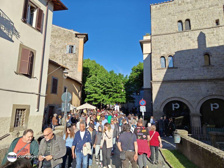 san pellegrino in fiore viterbo palazzo dei papi