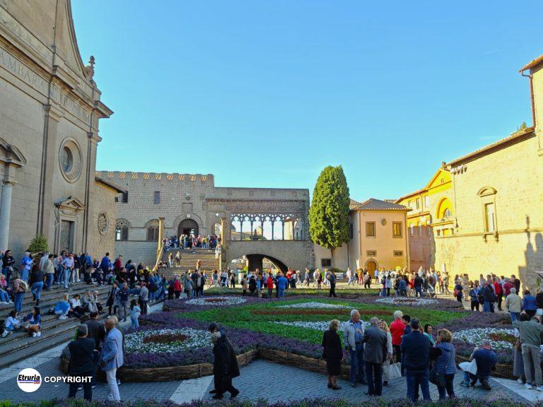 san pellegrino in fiore palazzo dei papi viterbo
