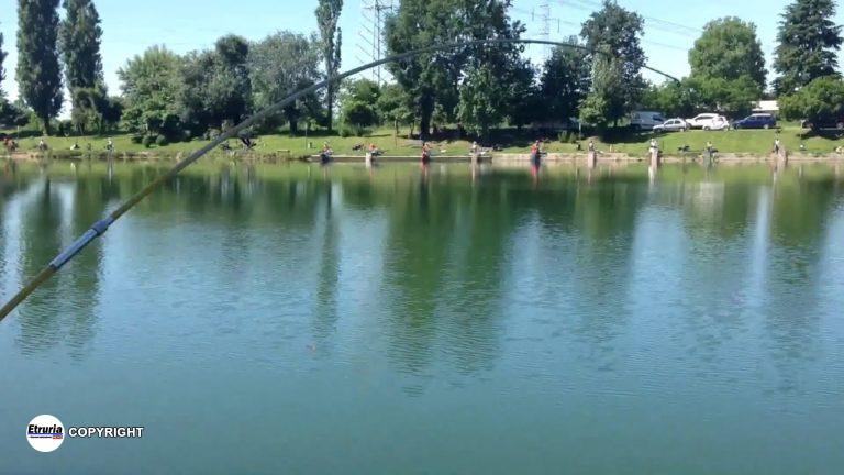 laghetto pesca generica
