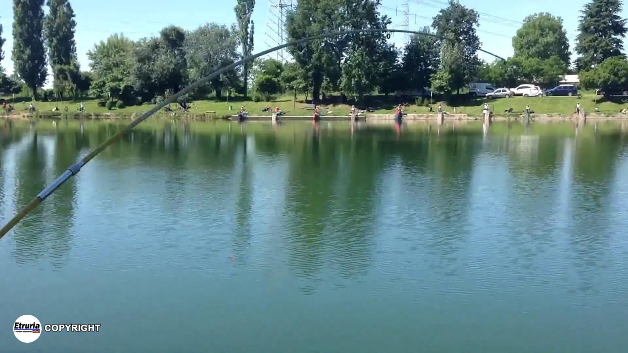 laghetto pesca generica
