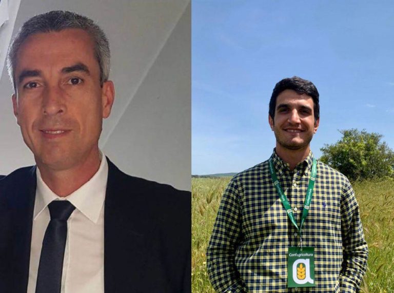 pacchelli-lancioni