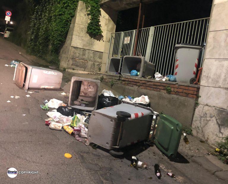 viterbo degrado rifiuti