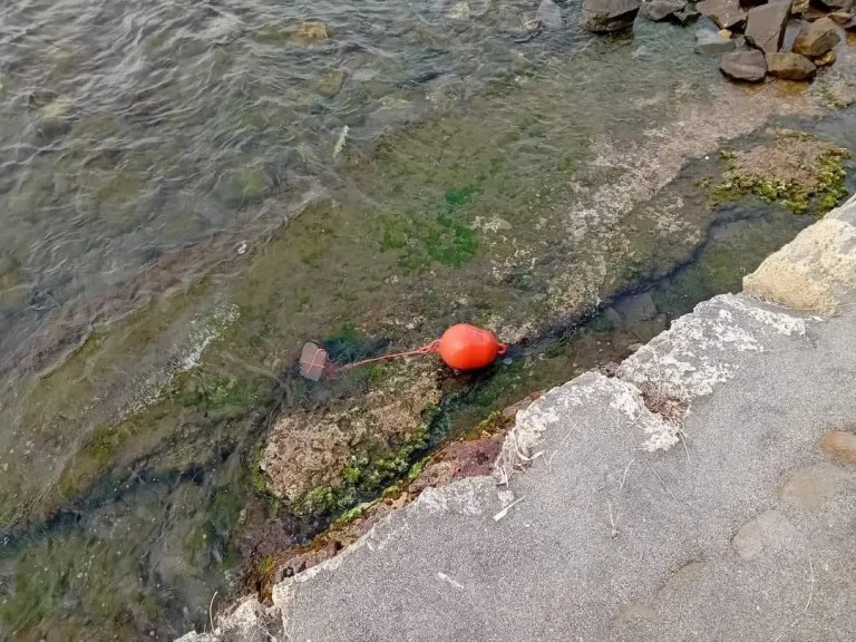 bomba4-jpg