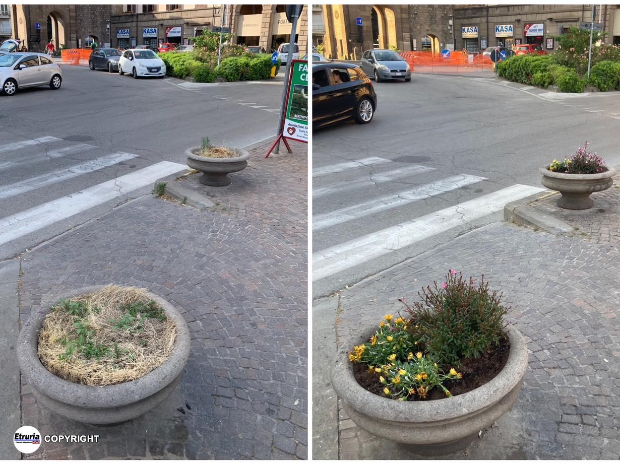 fiori piazza della rocca