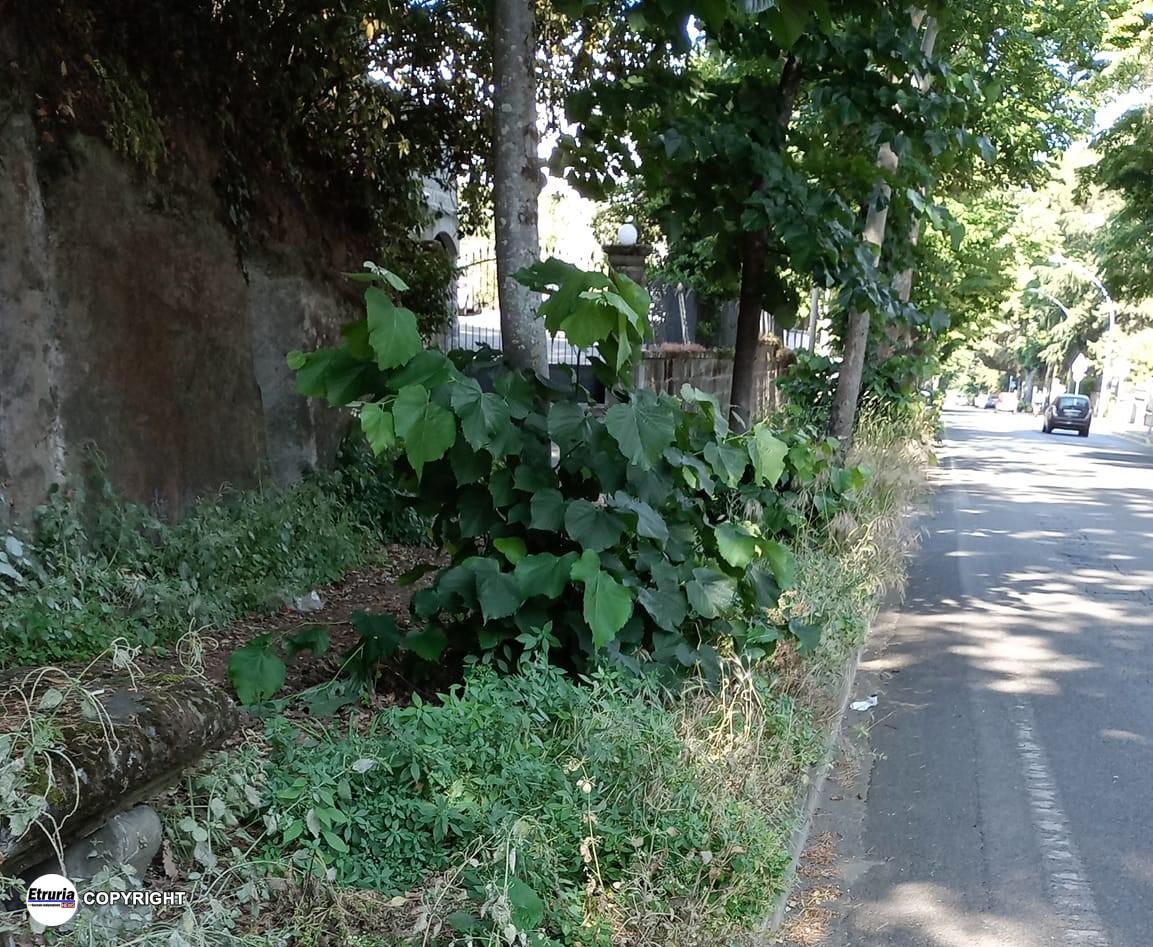 viale fiume 2