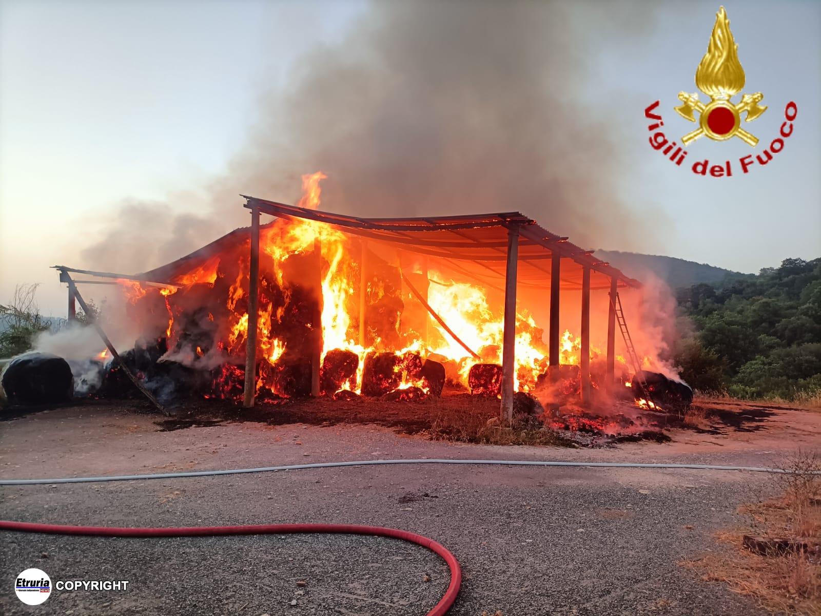incendio tolfa