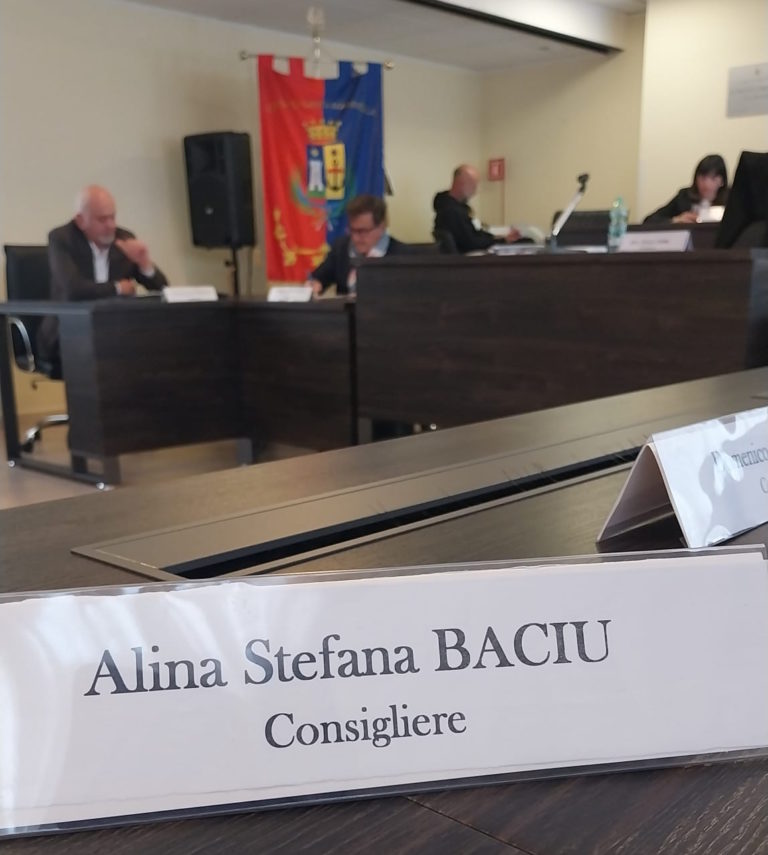 alina stefana baciu