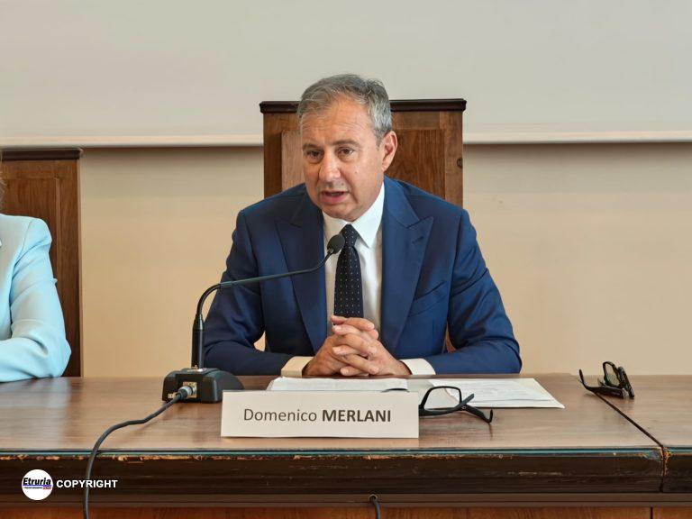 domenico merlani
