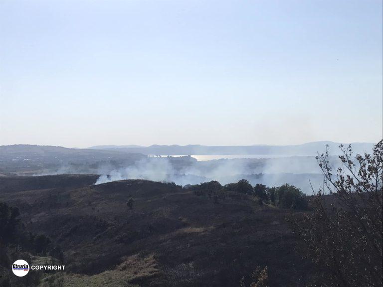 fiamme cesano