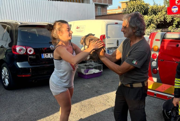 salvataggio coniglietto nano