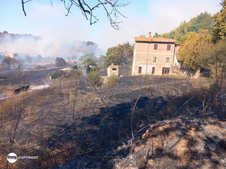 tuscania incendio